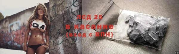 сатива Ессентукская