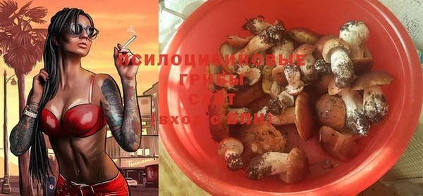 соль курить ск Лагань