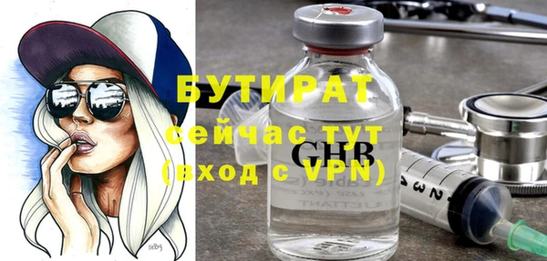 индика Санкт-Петербург