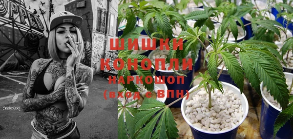 скорость Ладушкин