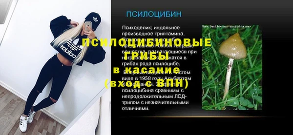 скорость Ладушкин