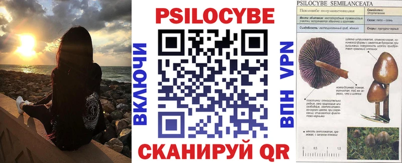 Галлюциногенные грибы прущие грибы  Сочи 